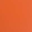 Carbon Fiber Safety Orange (+$10)