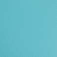 Carbon Fiber Tiffany Blue (+$10)